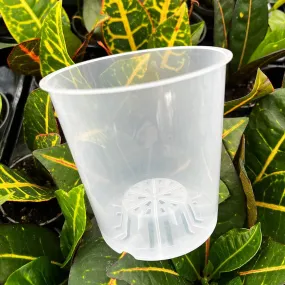 5pk 12cm Transparent Growing Pot Clear Orchids Pot