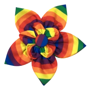 Collar Flower | Rainbow