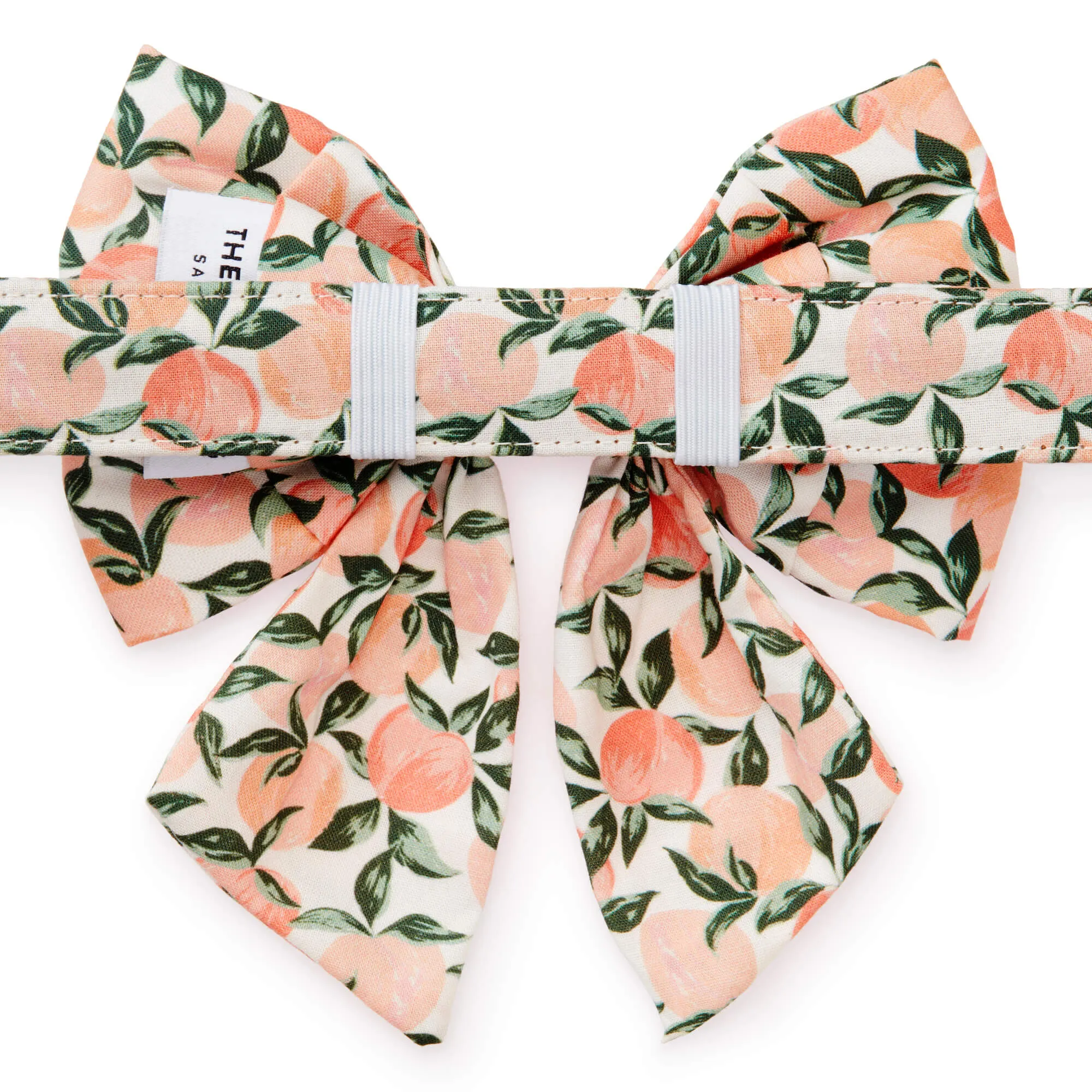 Peaches and Cream Lady Bow Collar