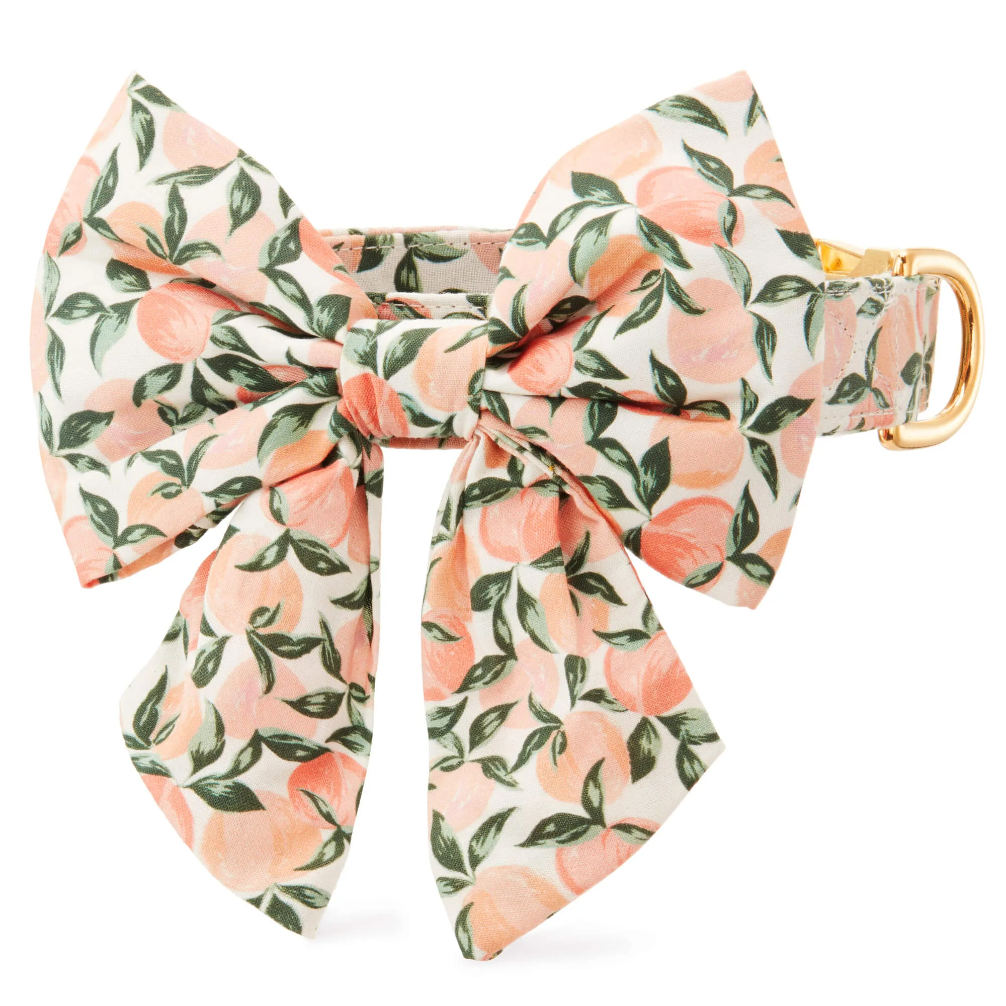 Peaches and Cream Lady Bow Collar